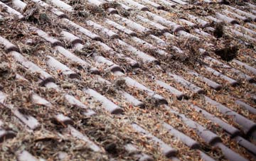 Garrafad roof cleaning companies