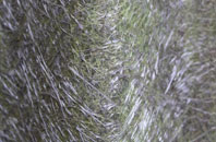 Garrafad fibreglass roof work