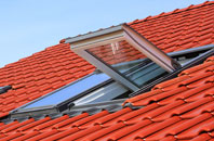 Garrafad roof window